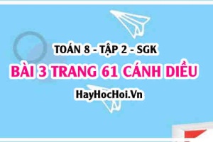 Bài 3 trang 61 Toán 8 Tập 2 Cánh Diều